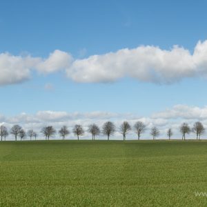 Baggrund 001-2