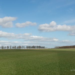 Baggrund 001-3