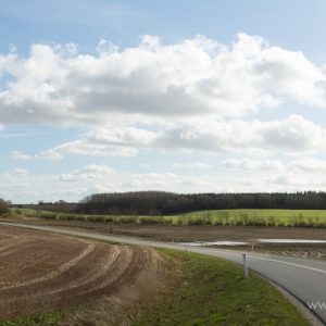 Baggrund 002-3