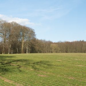 Baggrund 003-1