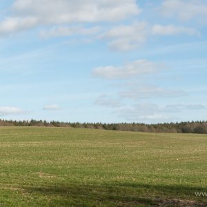 Baggrund 004-1