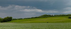 Panorama baggrund